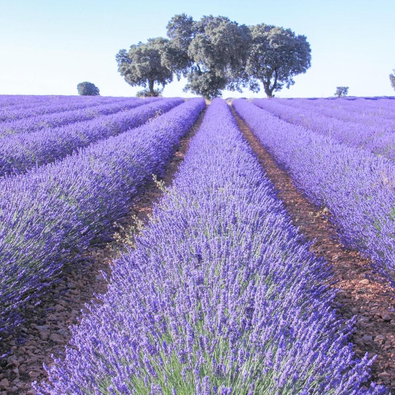 Le Cosy Valcros, Design Et Confort Aix-en-Provence Exterior photo